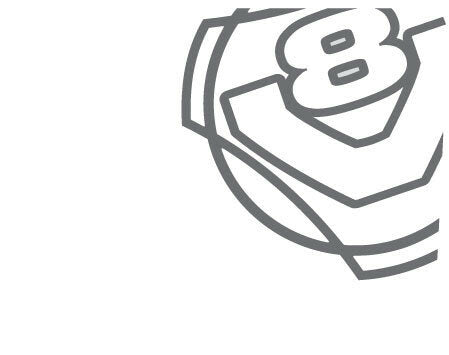 Nalepka SCANIA za stranska okna