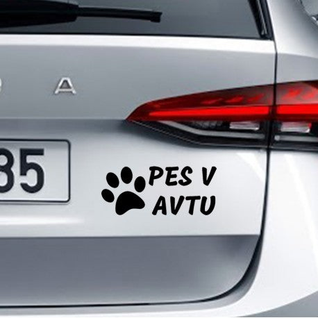 Nalepka Pes v avtu