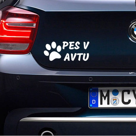 Nalepka Pes v avtu